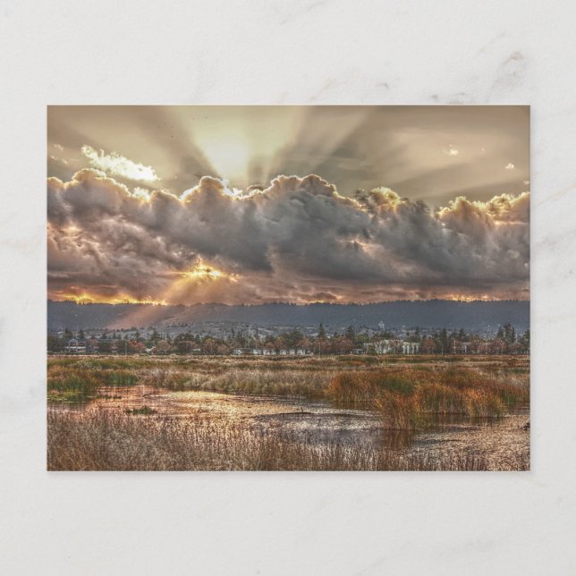 Postal Rays al atardecer Postcard (Anverso)