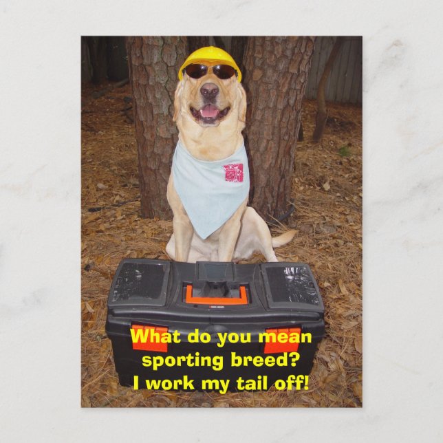 Postal ¿Raza deportiva? (Anverso)