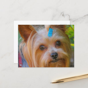 Postal Raza favorita de Yorkshire Terrier Yorkie