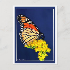 Postal Razas monarcas y amarillas