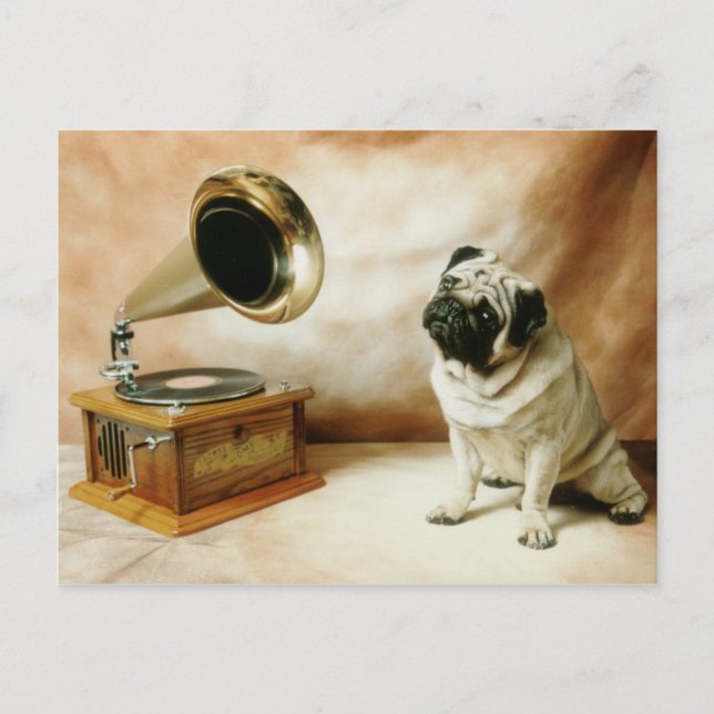 Postal RCA Pug Dog (Anverso)