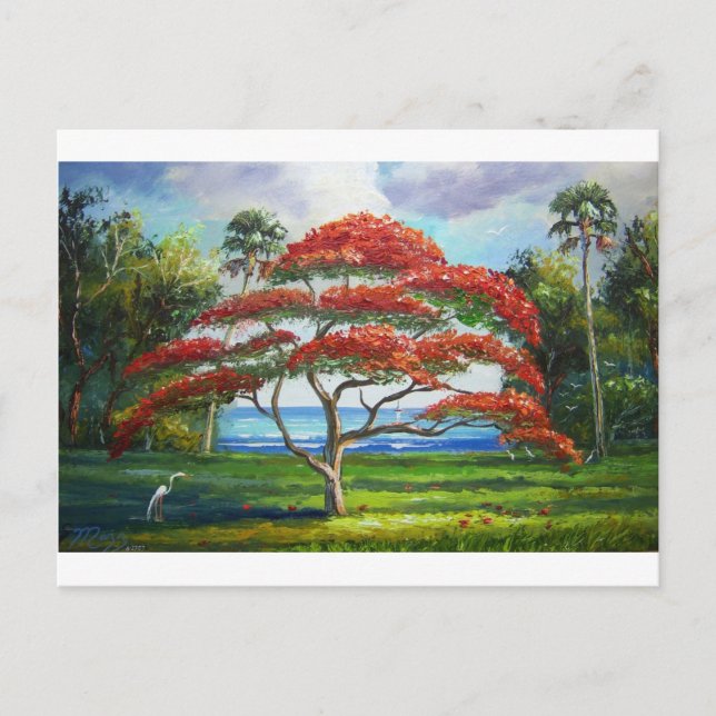 Postal Real Poinciana Mazz (Anverso)