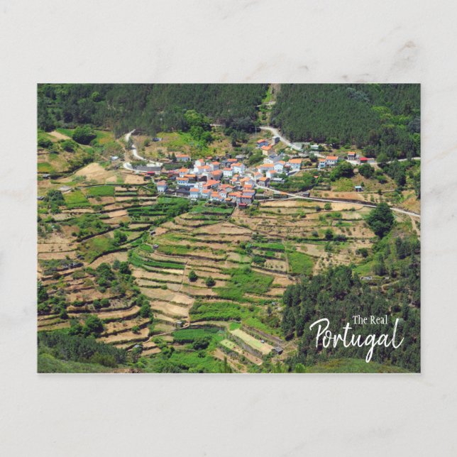 Postal Real Portugal- Espectacular granja en terraza (Anverso)