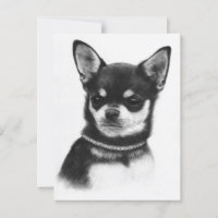 Realeza de Chihuahua - Obra de arte pintada a mano