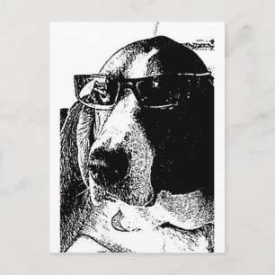 Postal REally cool basset hound