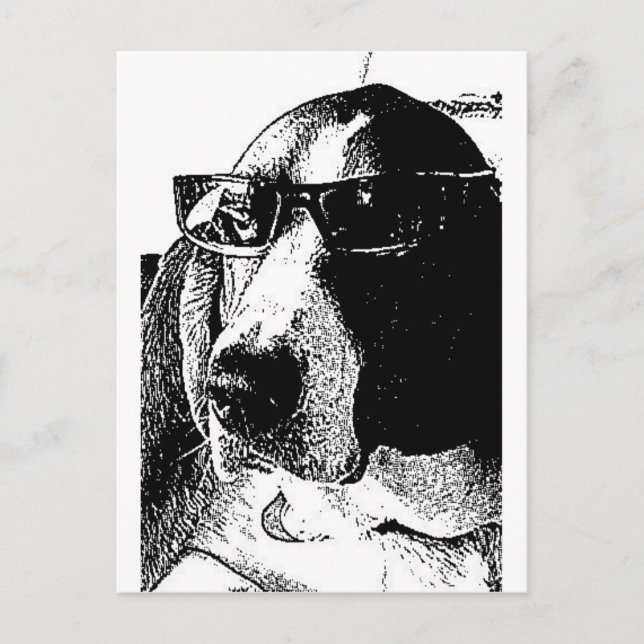 Postal REally cool basset hound (Anverso)