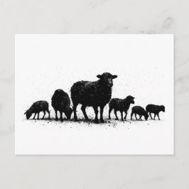 Postal Rebaño de Silueta de Tinta de Ovejas de las Orcada