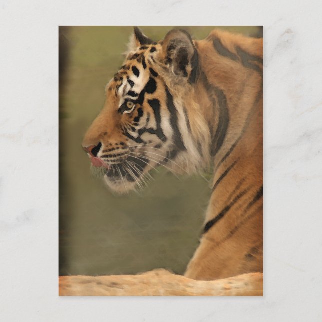 Postal rebelión (Anverso)