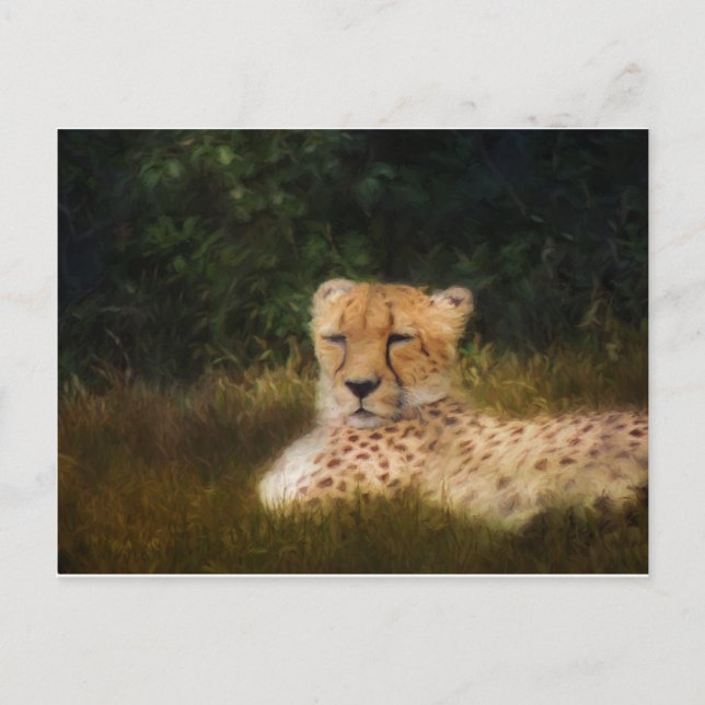 Postal Recalificación del chita en el centro de vida silv (Anverso)