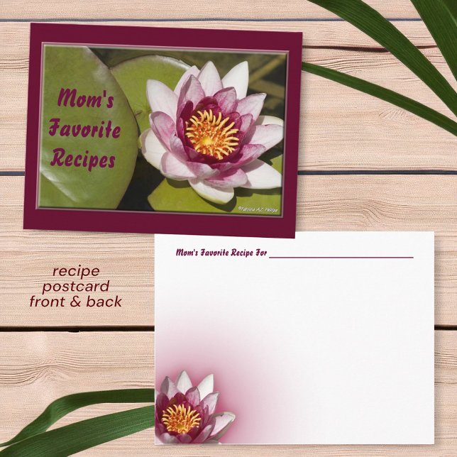 Postal Receta de fotos de flores de lirio rosa delgado (front and back postcard recipe card )