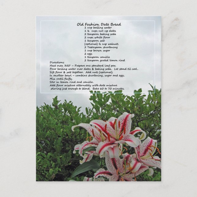 Postal Receta de pan de fecha de moda antigua (Anverso)