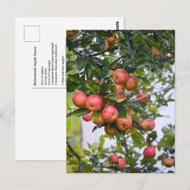 Postal Receta de salsa de manzana (Anverso / Reverso)