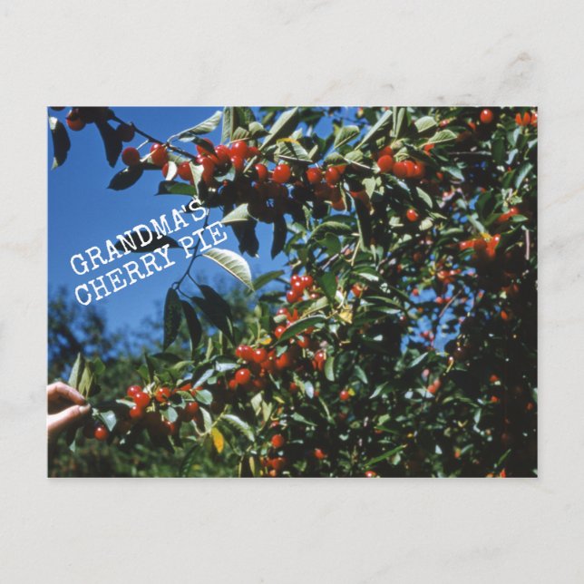 Postal Receta del muelle de cerezas de la abuela (Anverso)