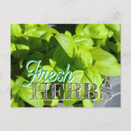 Postal Receta FRESH HERBS Garden Basil