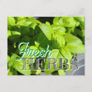Postal Receta FRESH HERBS Garden Basil
