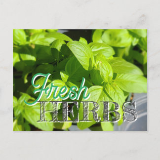 Postal Receta FRESH HERBS Garden Basil