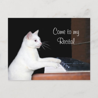 Postal recital de piano de gato
