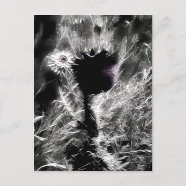 Postal Recoge (Anverso)