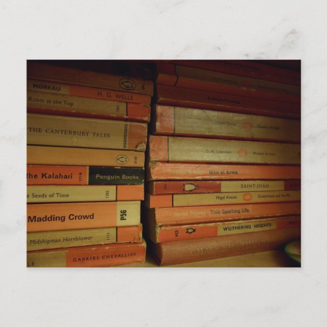 Postal Recoge un pingüino (Anverso)