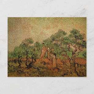 Postal Recolección de aceitunas por Vincent van Gogh
