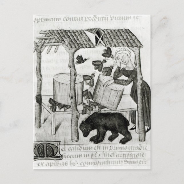 Postal Recolección de miel (Anverso)