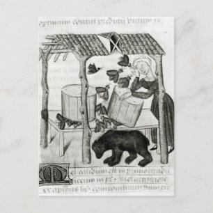 Postal Recolección de miel