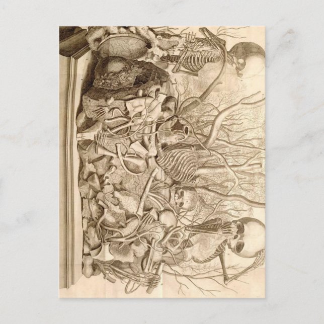 Postal Recolectores de niños (Anverso)