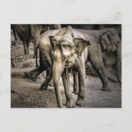 Postal Reconocimiento