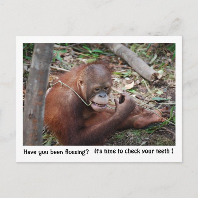 Postal Recordatorio de cita de dentista (Anverso)