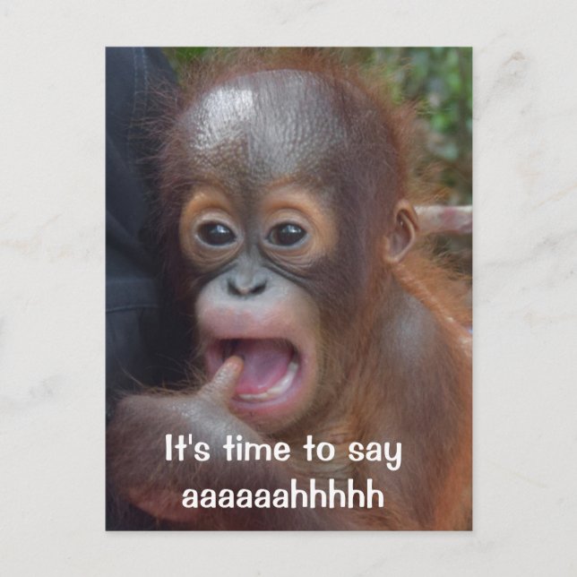 Postal Recordatorio de citas de Dentista Divertido (Anverso)