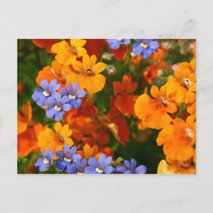 Postal Recordatorio de la primavera