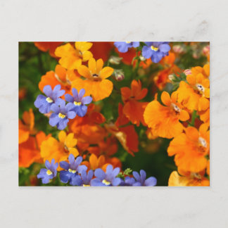 Postal Recordatorio de primavera
