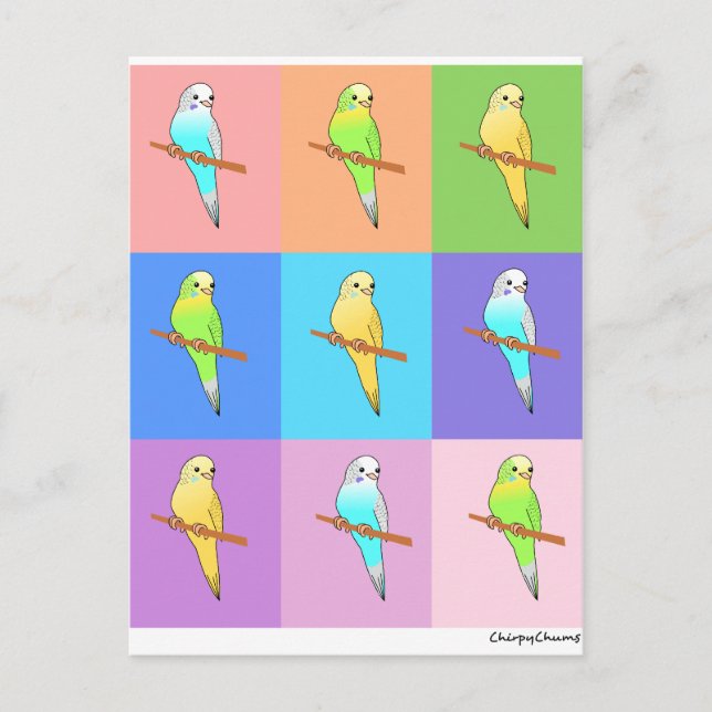 Postal Rectángulos arcoiris de Parakeet (Anverso)