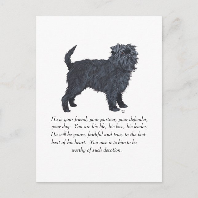Postal Recuerdo de Affenpinscher (Anverso)