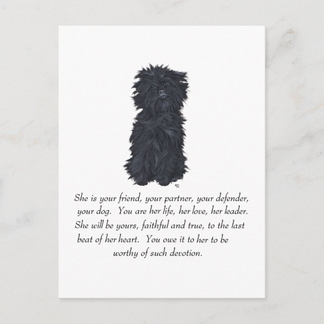 Postal Recuerdo de Affenpinscher (Anverso)