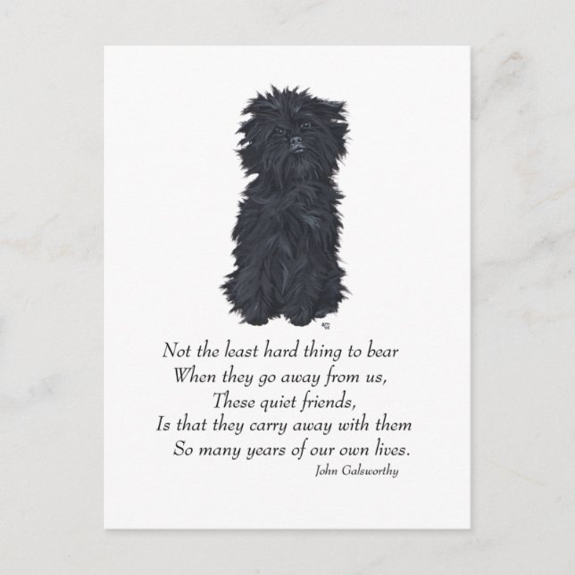 Postal Recuerdo de Affenpinscher (Anverso)