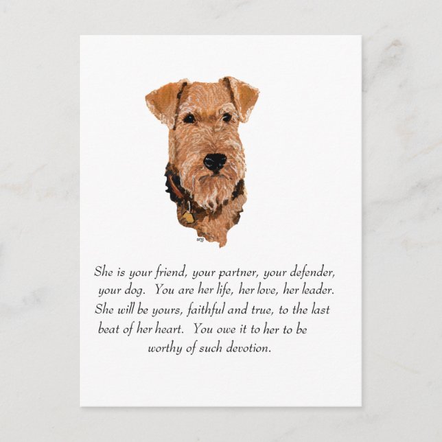Postal Recuerdo de Airedale, galés, Lakeland Terrier (Anverso)