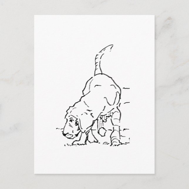Postal Recuerdo de Amante de Perros, Ilustración de Beagl (Anverso)