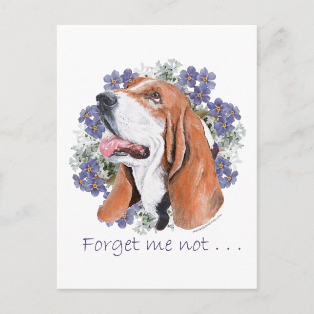 Postal Recuerdo de Basset Hound (Anverso)