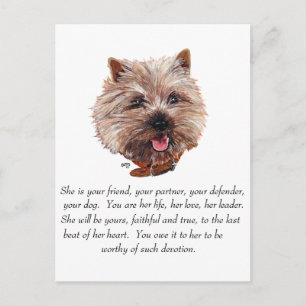 Postal Recuerdo de Cairn Terrier - HEMBRA