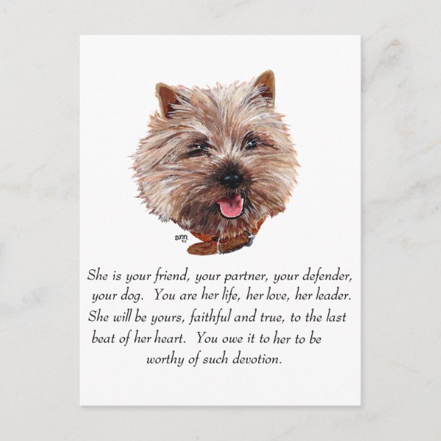 Postal Recuerdo de Cairn Terrier - HEMBRA (Anverso)