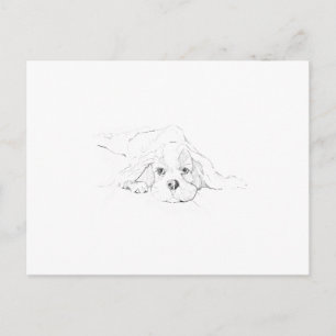 Postal Recuerdo de Cavalier King Charles Spaniel