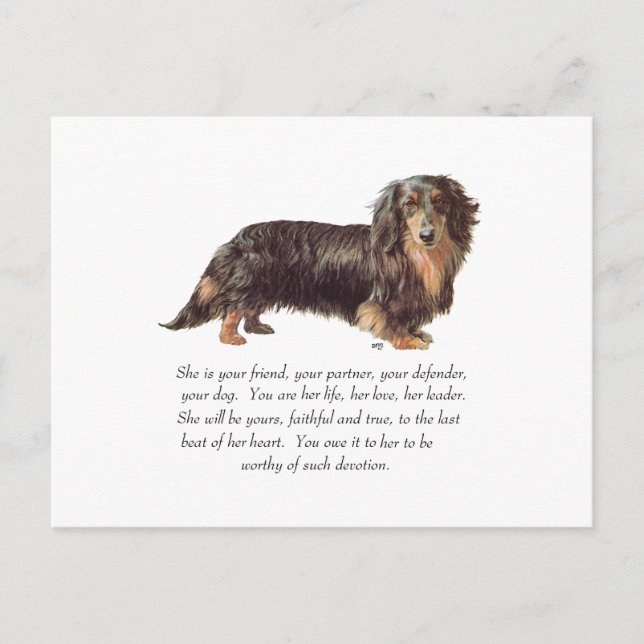 Postal Recuerdo de Dachshund - Hembra (Anverso)