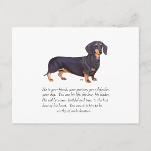 Postal Recuerdo de Dachshund - Macho