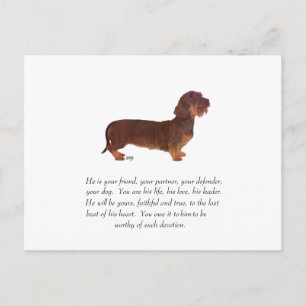 Postal Recuerdo de Dachshund - Macho