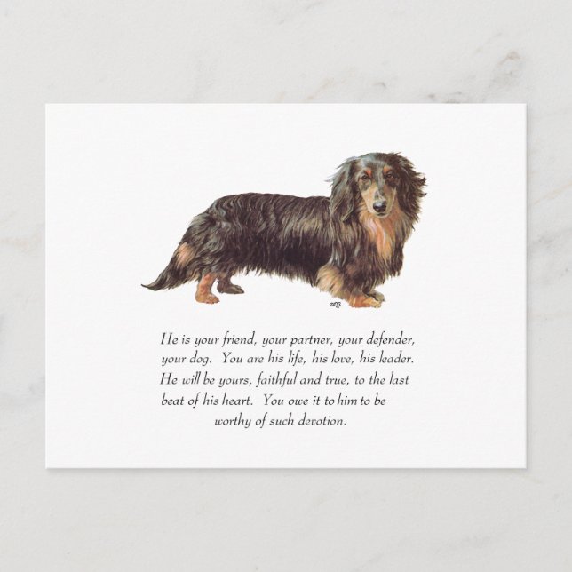 Postal Recuerdo de Dachshund - Macho (Anverso)