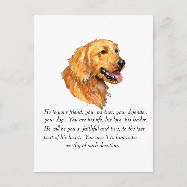 Postal Recuerdo de Golden Retriever (Anverso)