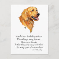 Recuerdo de Golden Retriever