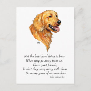 Postal Recuerdo de Golden Retriever
