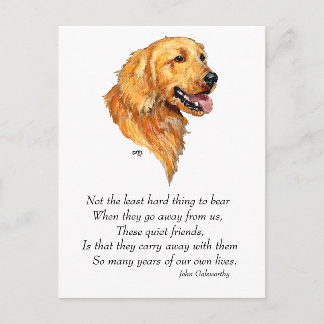Postal Recuerdo de Golden Retriever (Anverso)